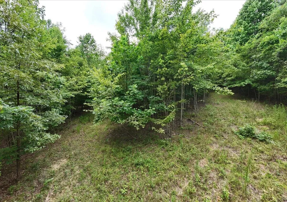 3685 Crockett Point Jasper, TN 37347