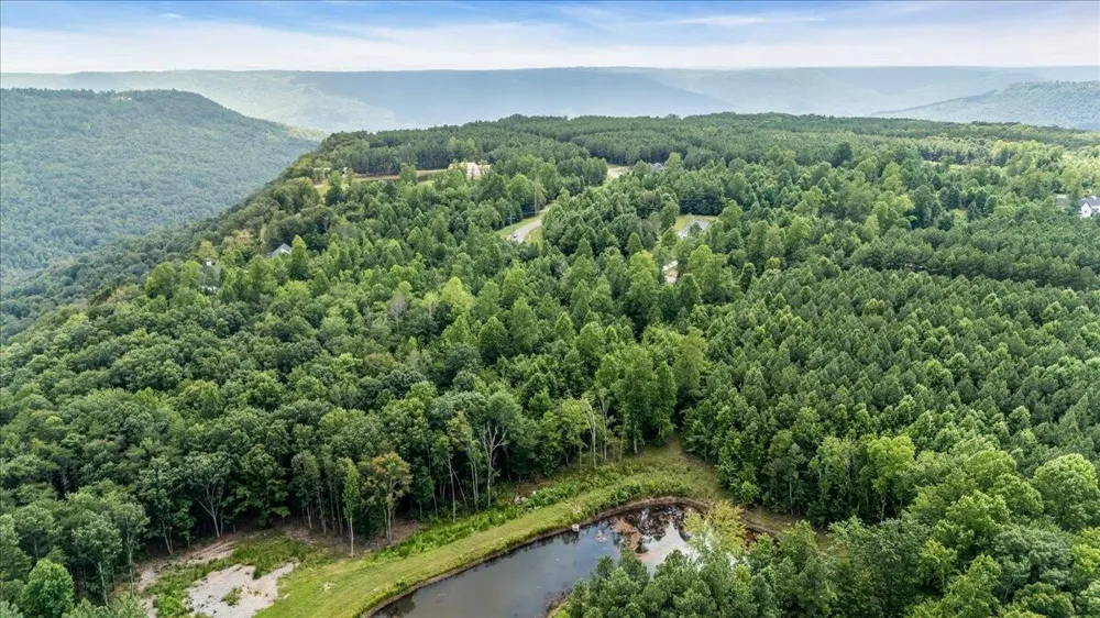 3685 Crockett Point Jasper, TN 37347