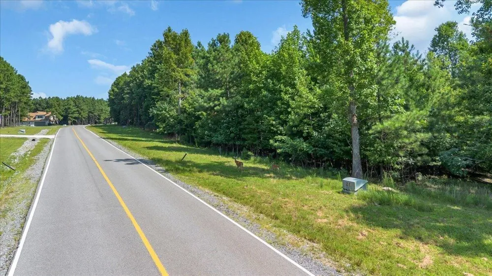 3685 Crockett Point Jasper, TN 37347