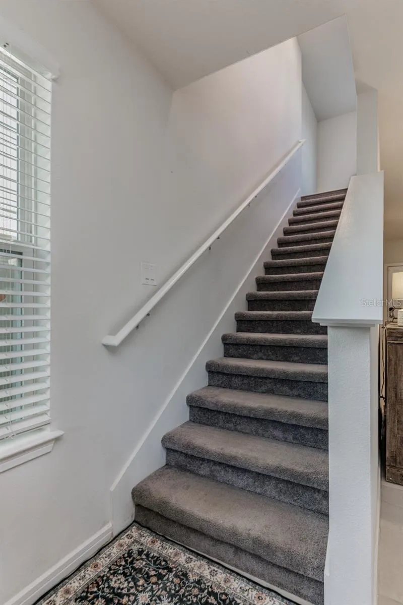 29908 MARQUETTE AVENUE Wesley Chapel, FL 33545