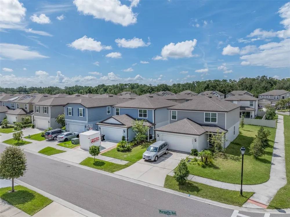 29908 MARQUETTE AVENUE Wesley Chapel, FL 33545