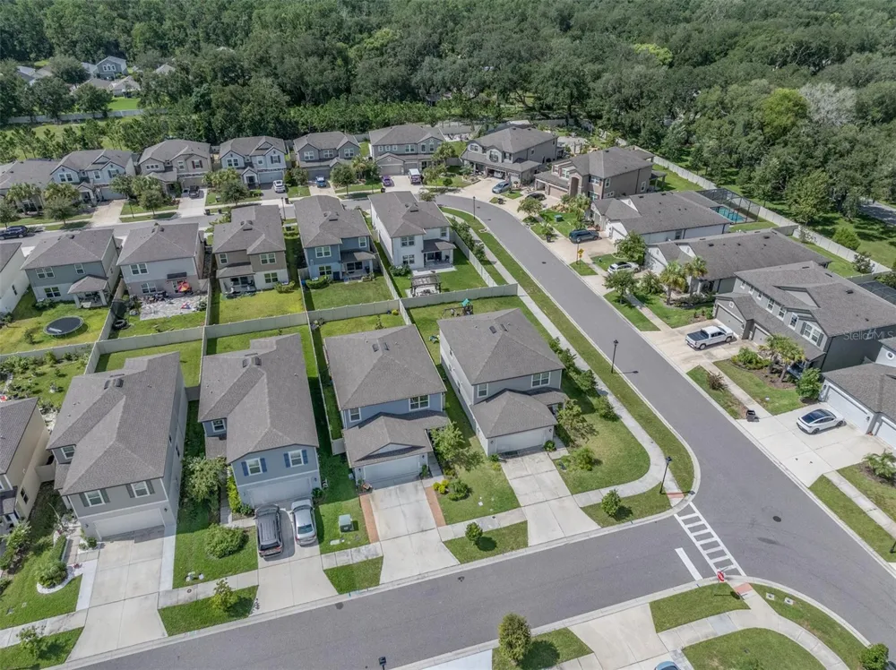 29908 MARQUETTE AVENUE Wesley Chapel, FL 33545