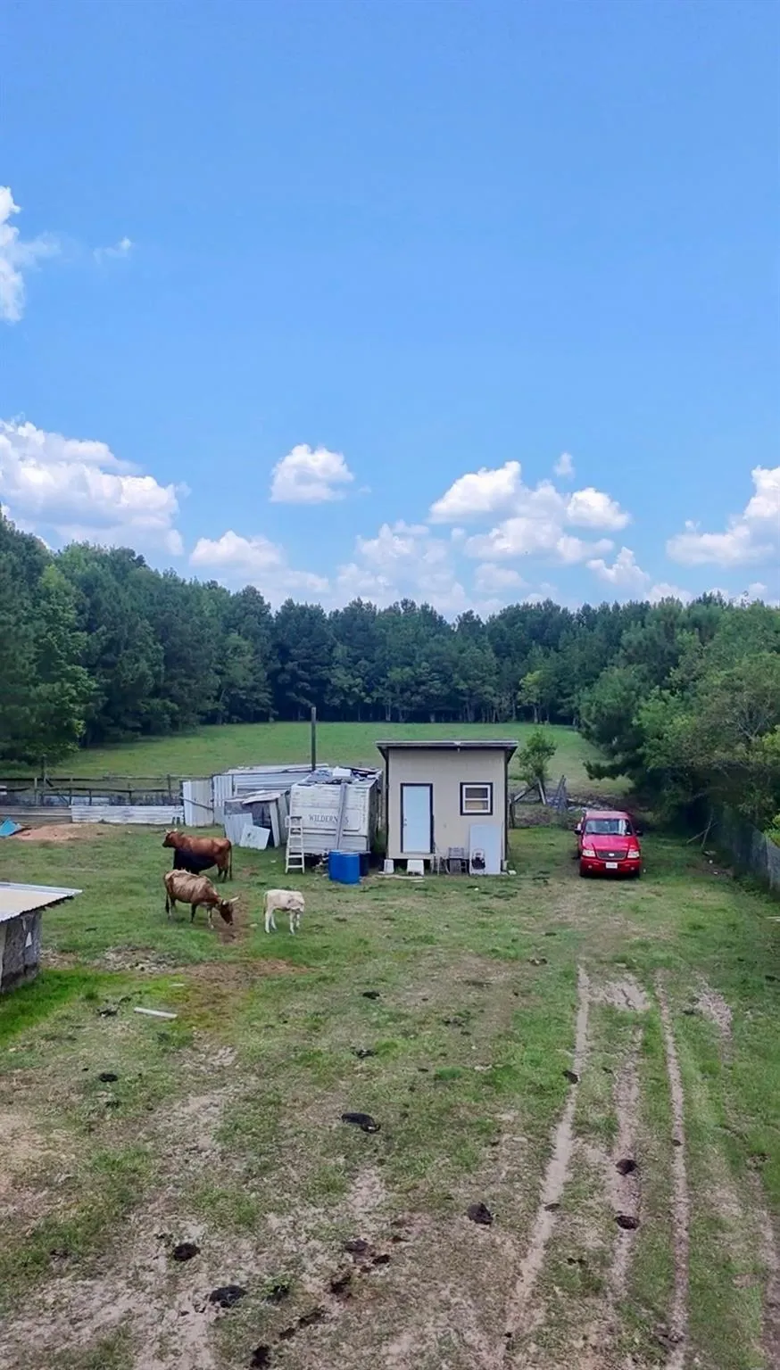 464 Road 3011a Dayton, TX 77535