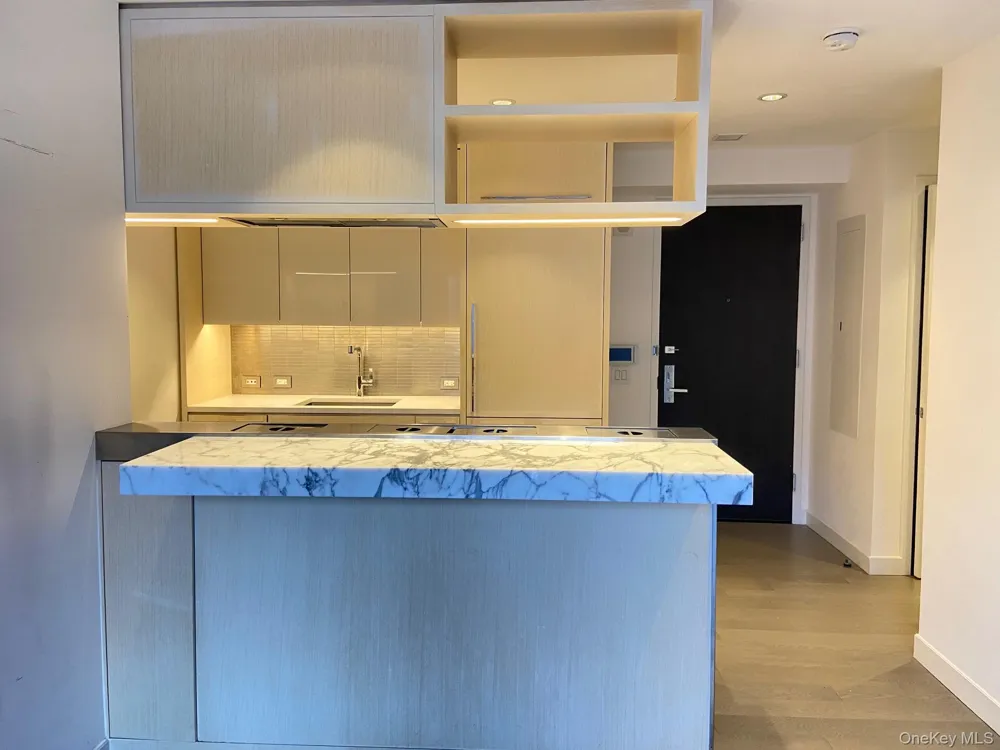 252 South Street #12G New York (Manhattan), NY 10002
