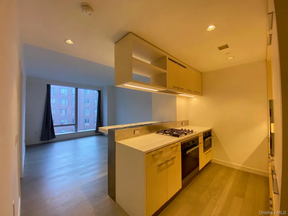 252 South Street #12G New York (Manhattan), NY 10002