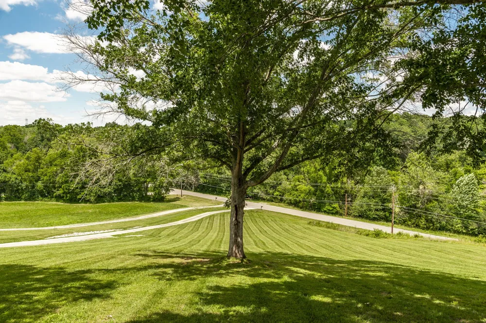 6040 New Cut Rd Greenbrier, TN 37073
