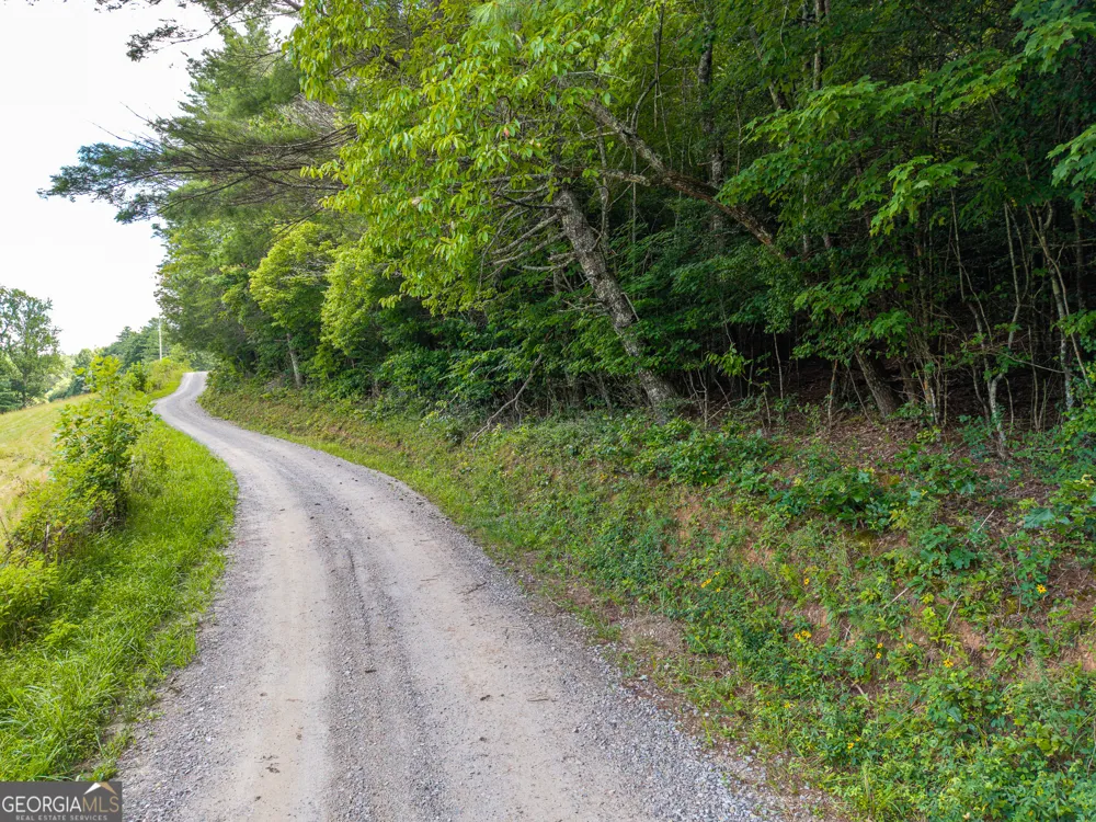 0 White Pine RD McCaysville, GA 30555