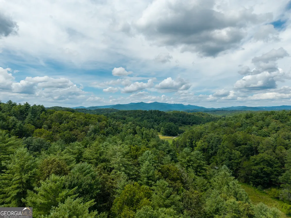 0 White Pine RD McCaysville, GA 30555