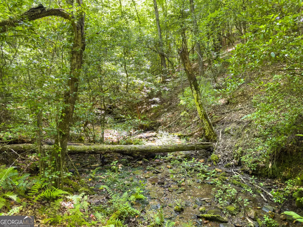 0 White Pine RD McCaysville, GA 30555