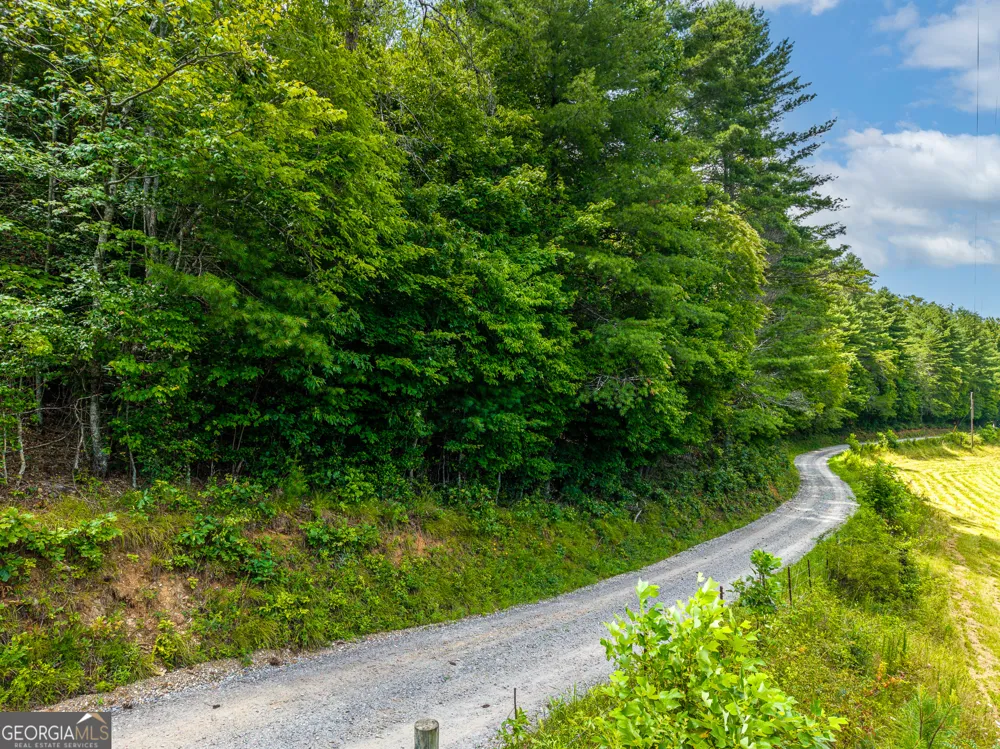 0 White Pine RD McCaysville, GA 30555