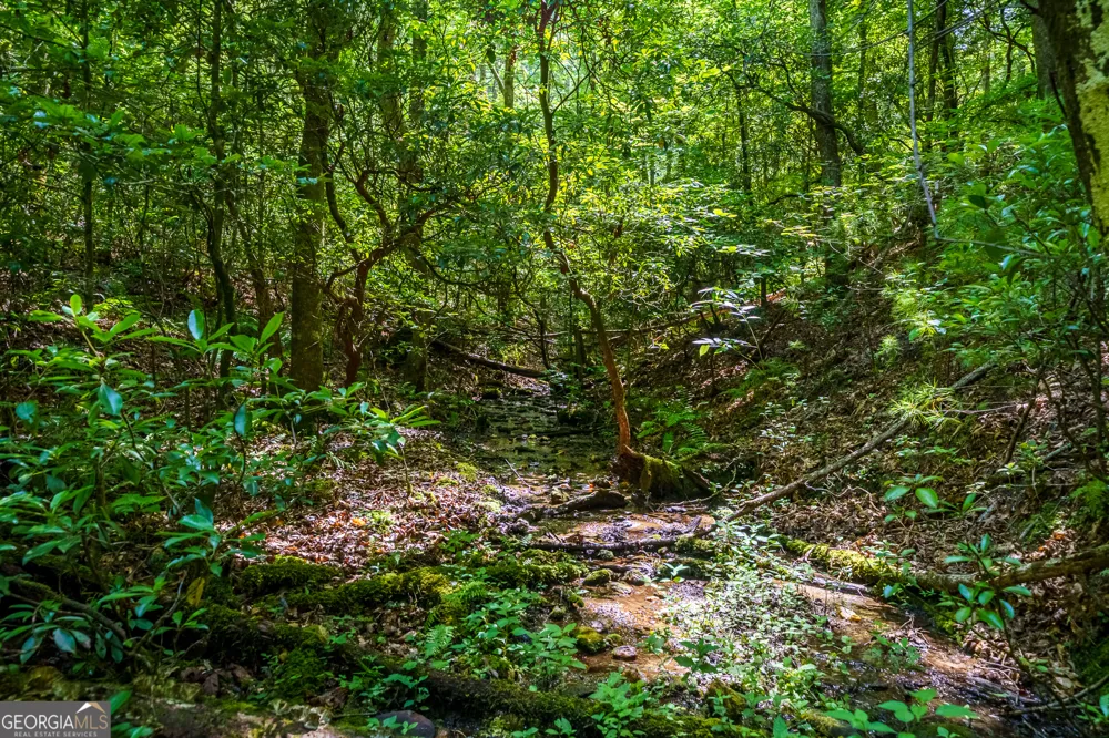 0 White Pine RD McCaysville, GA 30555