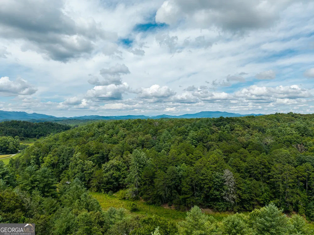 0 White Pine RD McCaysville, GA 30555
