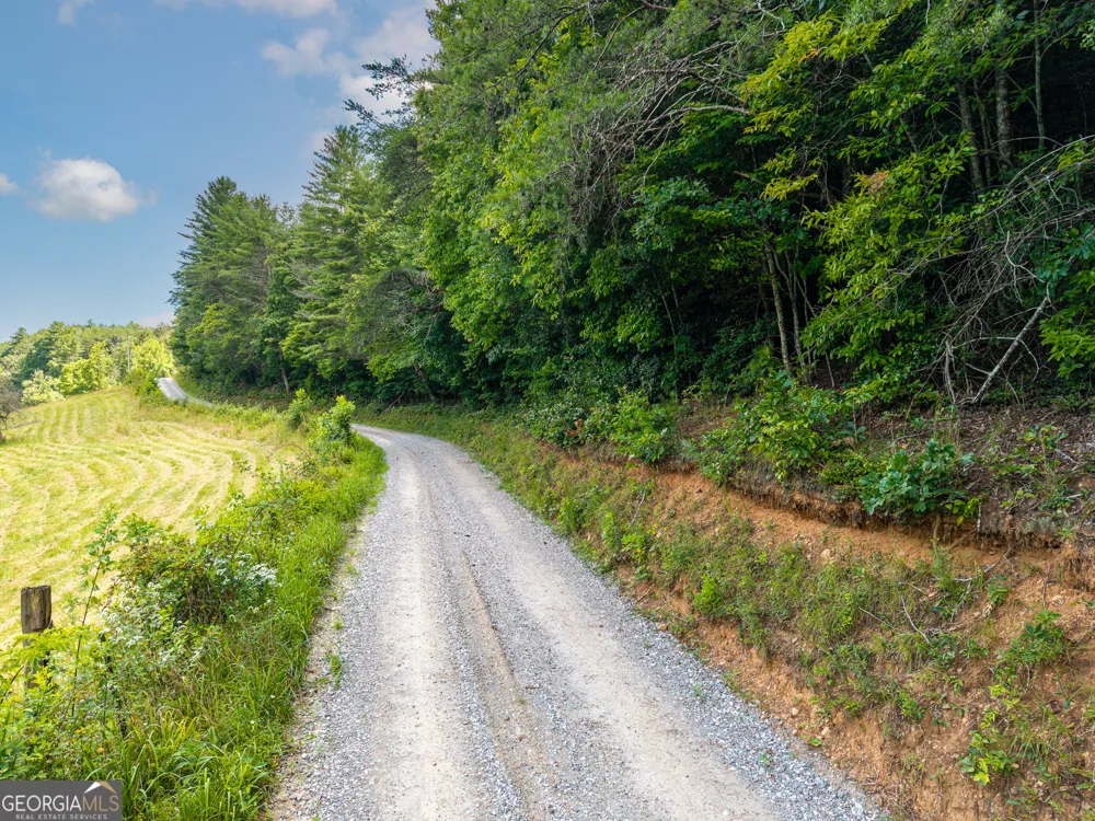 0 White Pine RD McCaysville, GA 30555