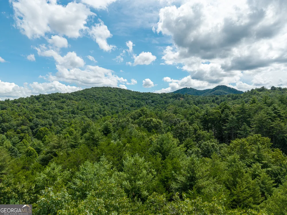 0 White Pine RD McCaysville, GA 30555