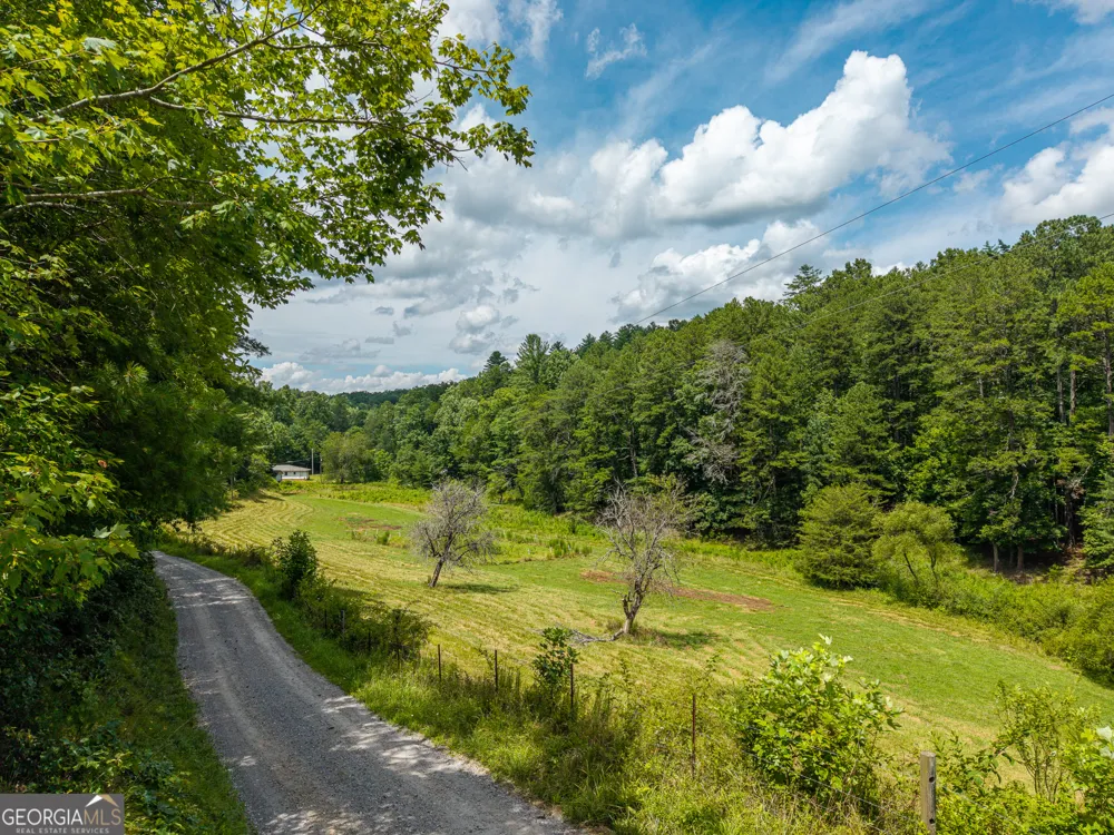 0 White Pine RD McCaysville, GA 30555