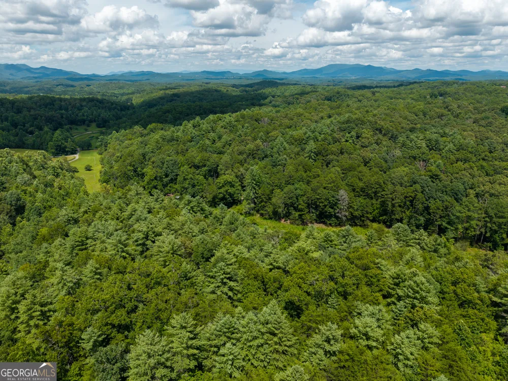0 White Pine RD McCaysville, GA 30555
