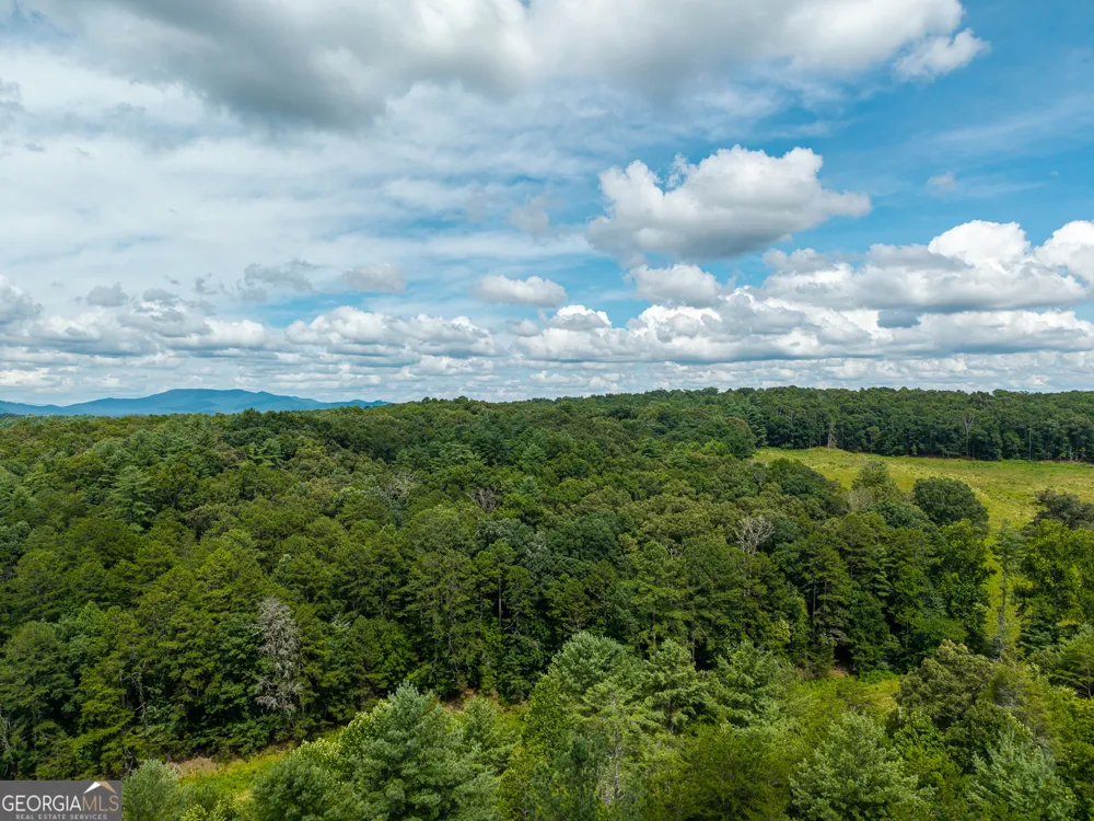 0 White Pine RD McCaysville, GA 30555