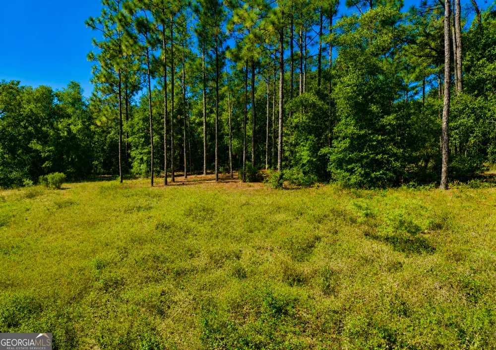 237 N Francis ST Interlachen, FL 32148