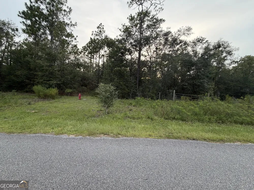 237 N Francis ST Interlachen, FL 32148