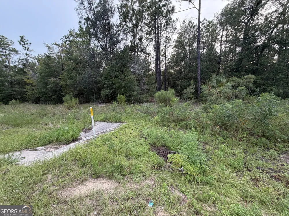 237 N Francis ST Interlachen, FL 32148