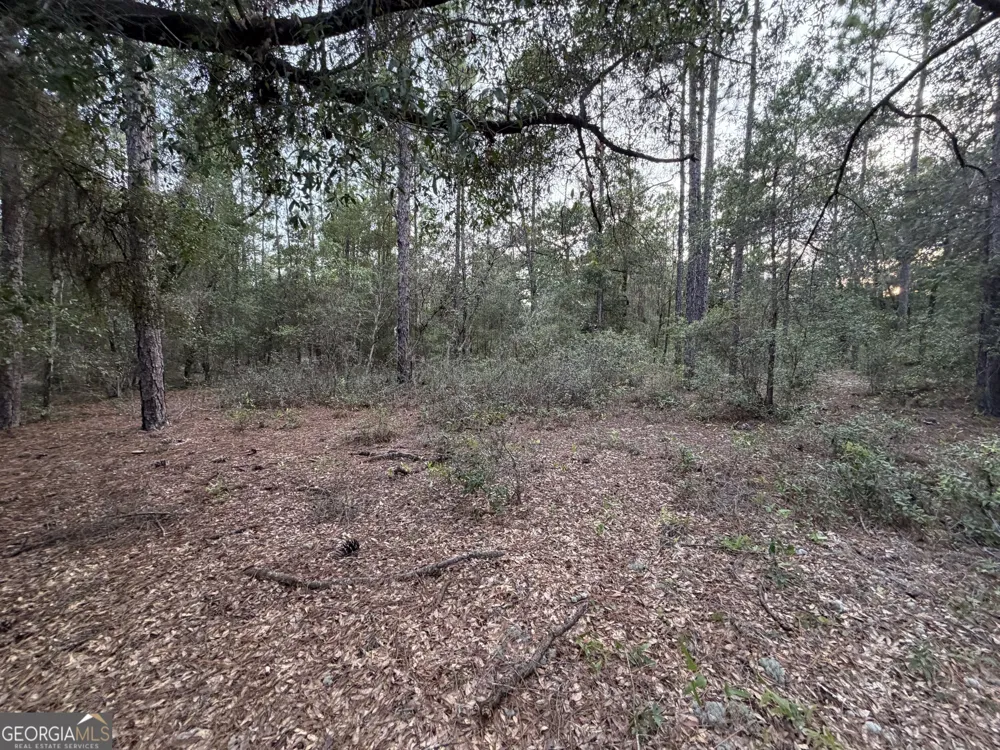 237 N Francis ST Interlachen, FL 32148