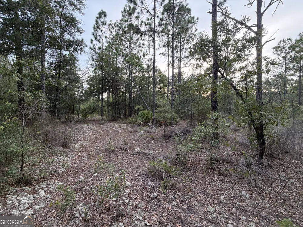237 N Francis ST Interlachen, FL 32148