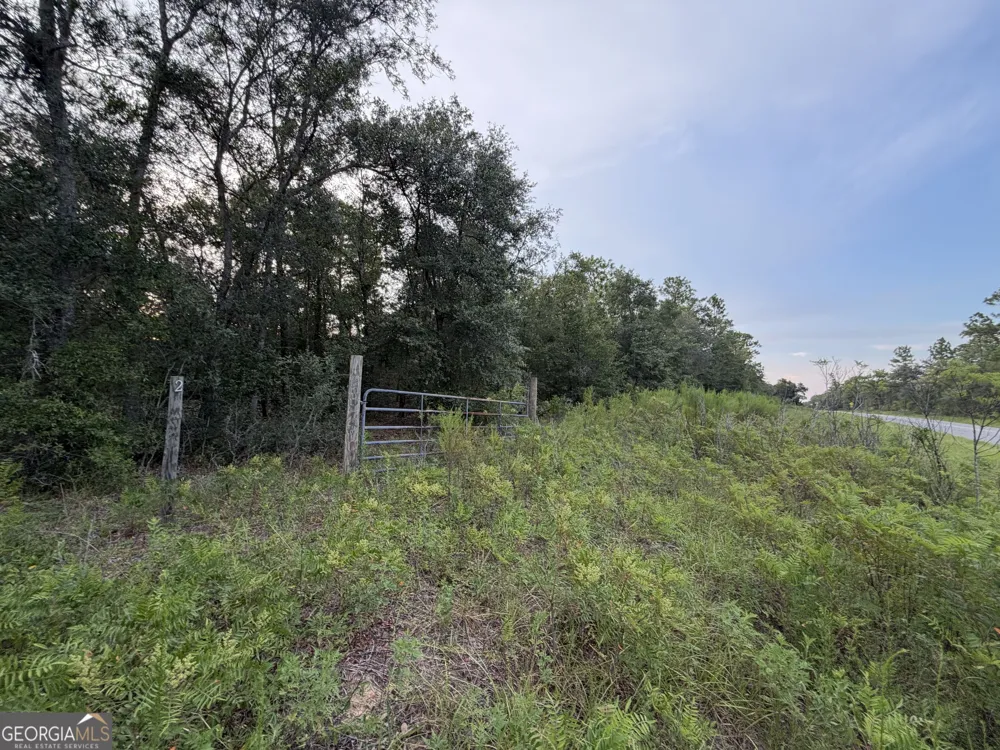 237 N Francis ST Interlachen, FL 32148