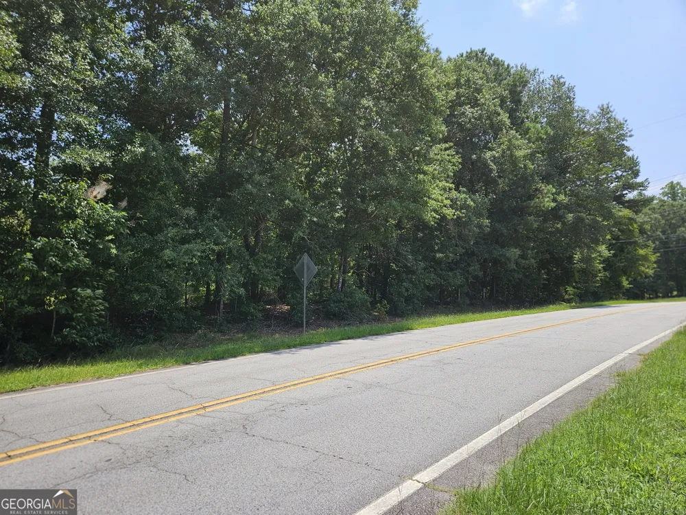 LOT 1 June Ivey RD Bethlehem, GA 30620