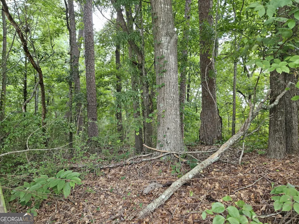 LOT 1 June Ivey RD Bethlehem, GA 30620