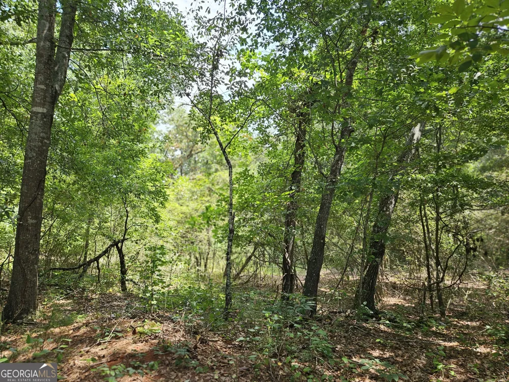 LOT 3 June Ivey RD Bethlehem, GA 30620