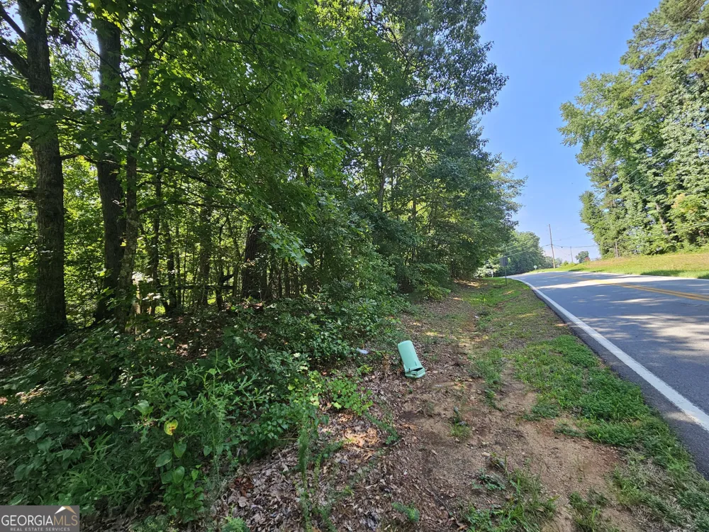 LOT 3 June Ivey RD Bethlehem, GA 30620