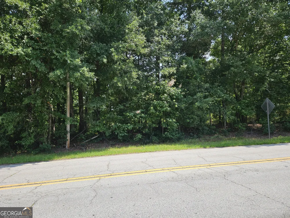 LOT 3 June Ivey RD Bethlehem, GA 30620