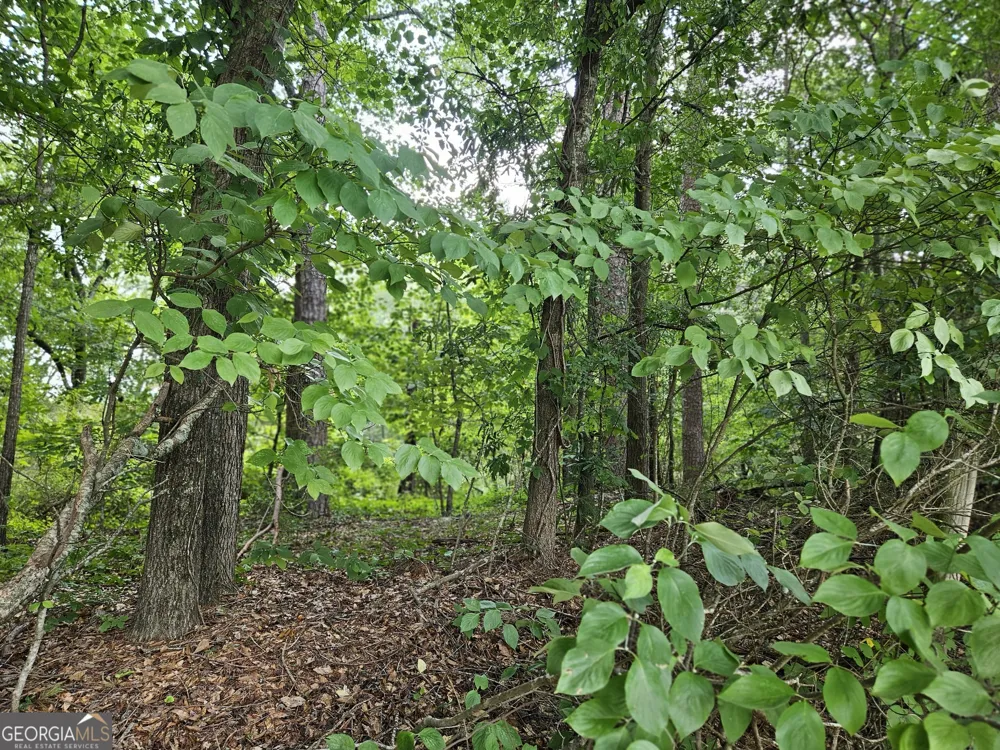 LOT 3 June Ivey RD Bethlehem, GA 30620