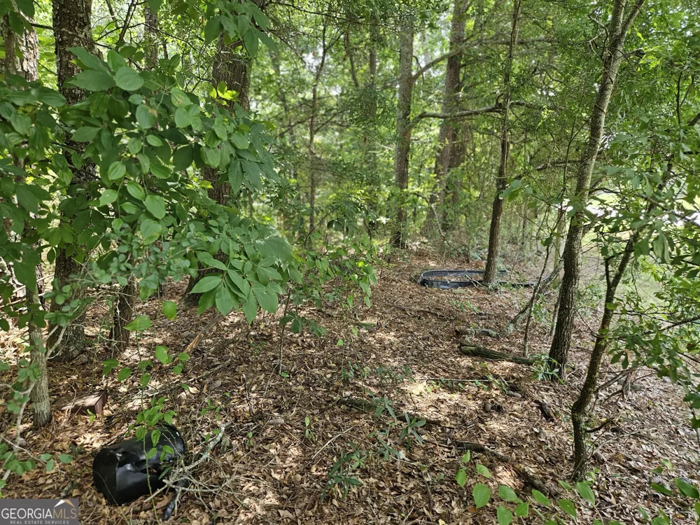 LOT 3 June Ivey RD Bethlehem, GA 30620