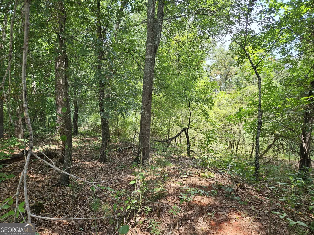LOT 3 June Ivey RD Bethlehem, GA 30620