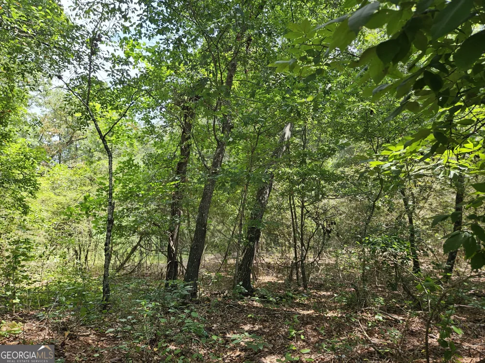 LOT 3 June Ivey RD Bethlehem, GA 30620