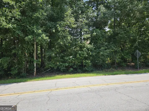 LOT 2 June Ivey RD