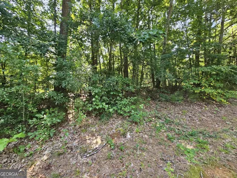 LOT 4 June Ivey RD