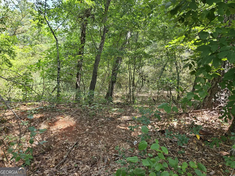LOT 4 June Ivey RD Bethlehem, GA 30620