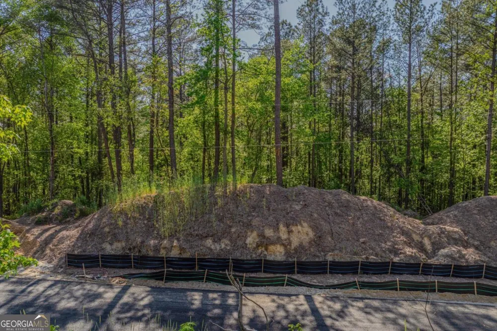 1561 Whitley RD Dacula, GA 30019