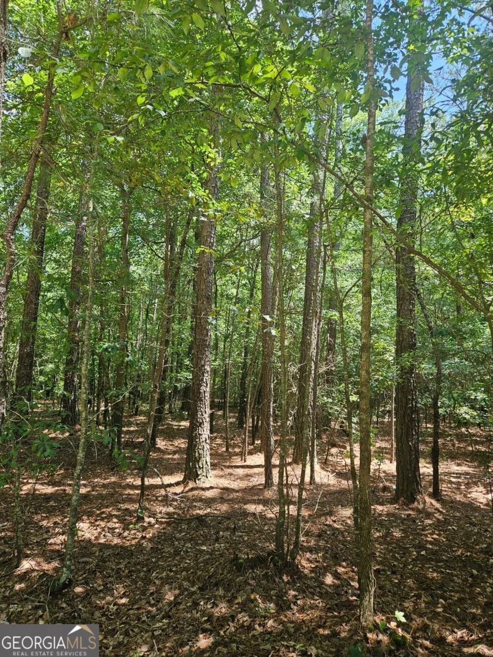 292 Mccannon Rd Tract 3 Carlton, GA 30627