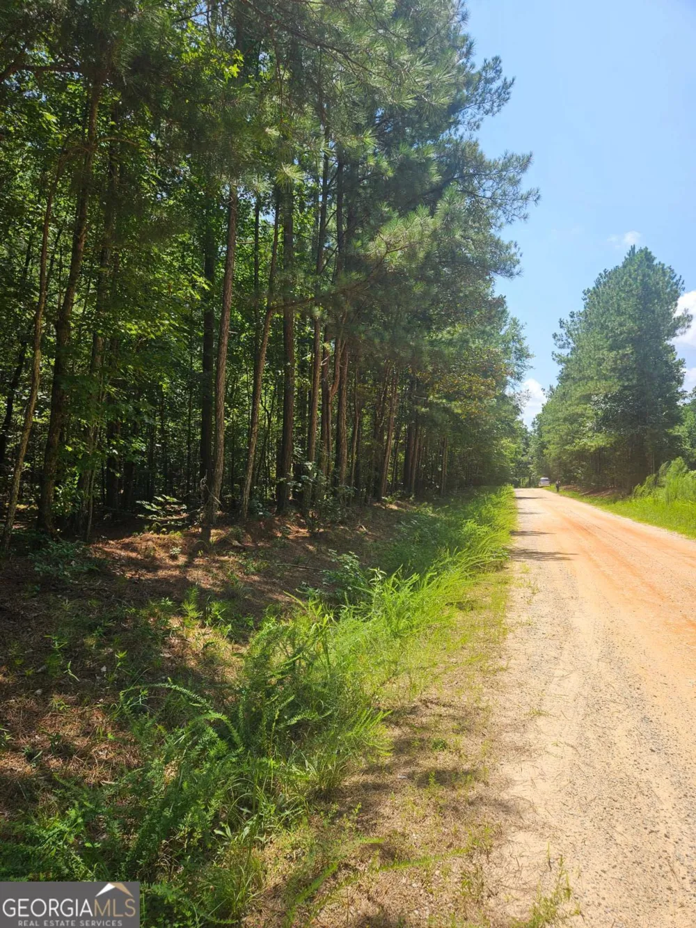 292 Mccannon Rd Tract 3 Carlton, GA 30627