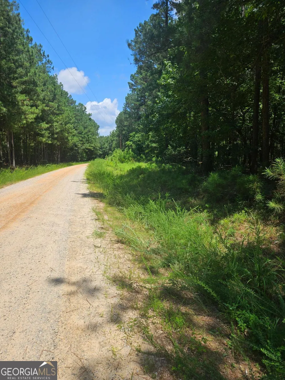 292 Mccannon Rd Tract 3 Carlton, GA 30627