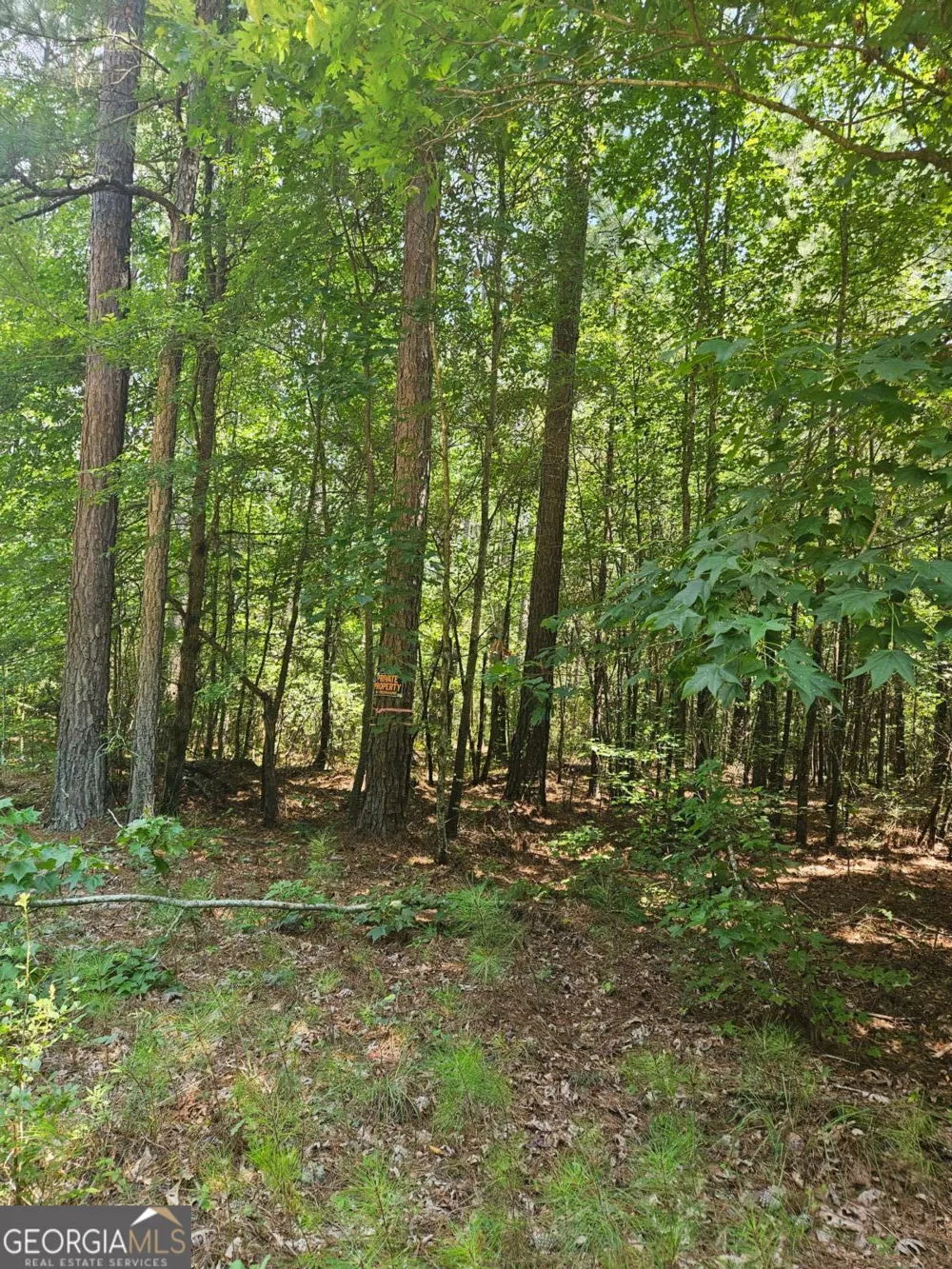 292 Mccannon Rd Tract 3 Carlton, GA 30627