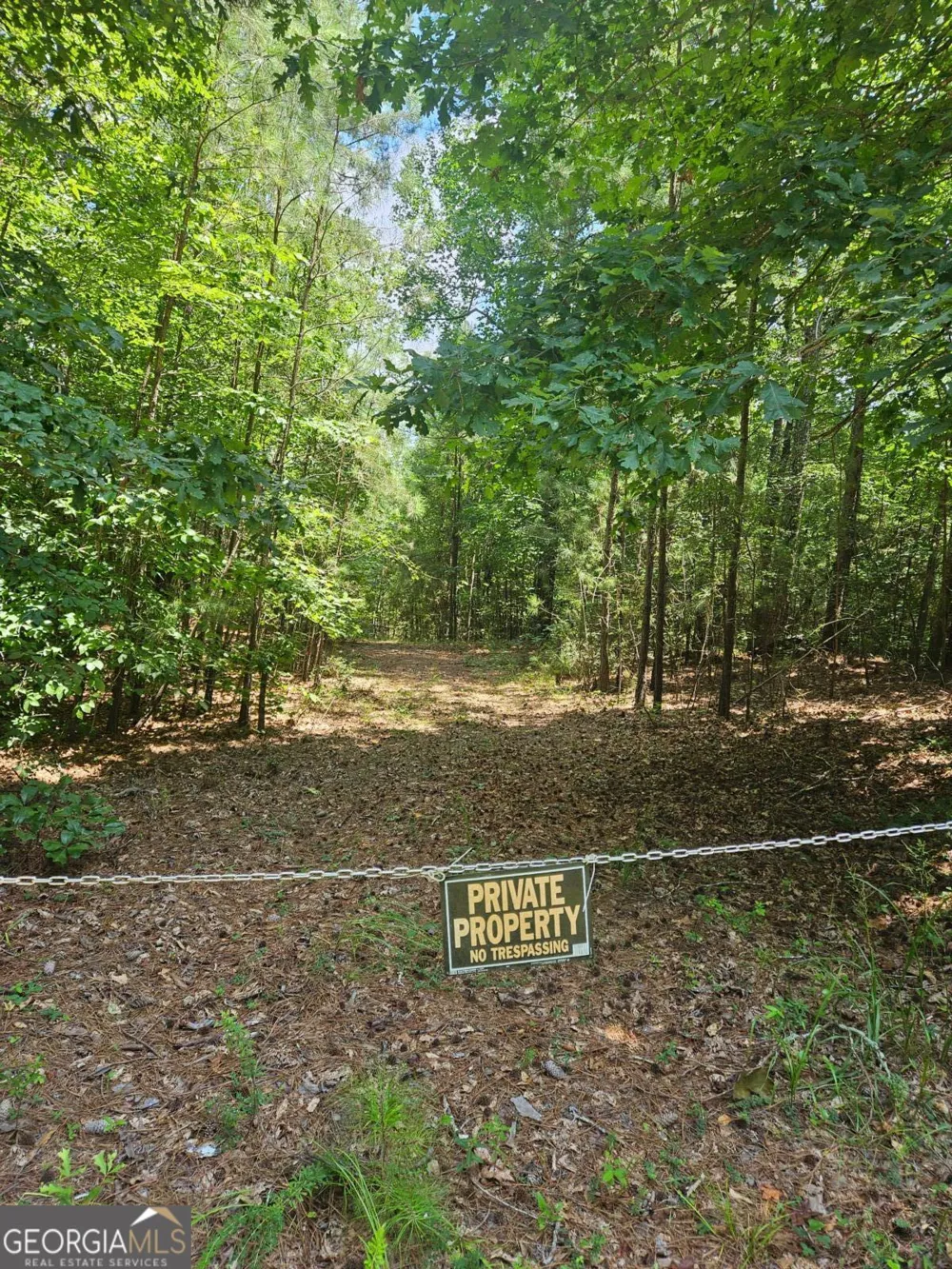 292 Mccannon Rd Tract 3 Carlton, GA 30627