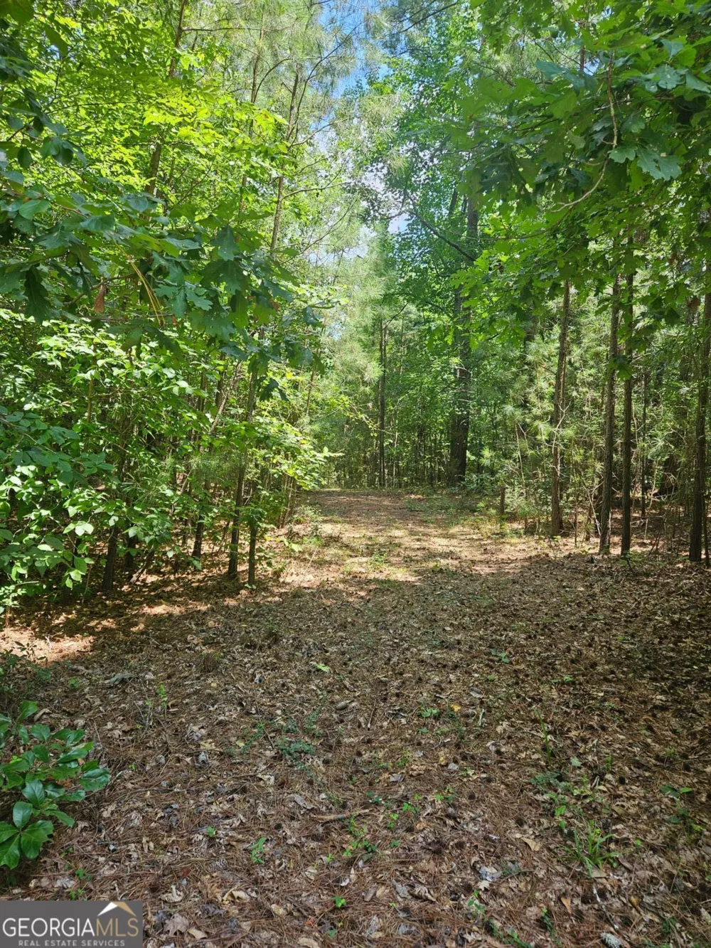 292 Mccannon Rd Tract 3 Carlton, GA 30627