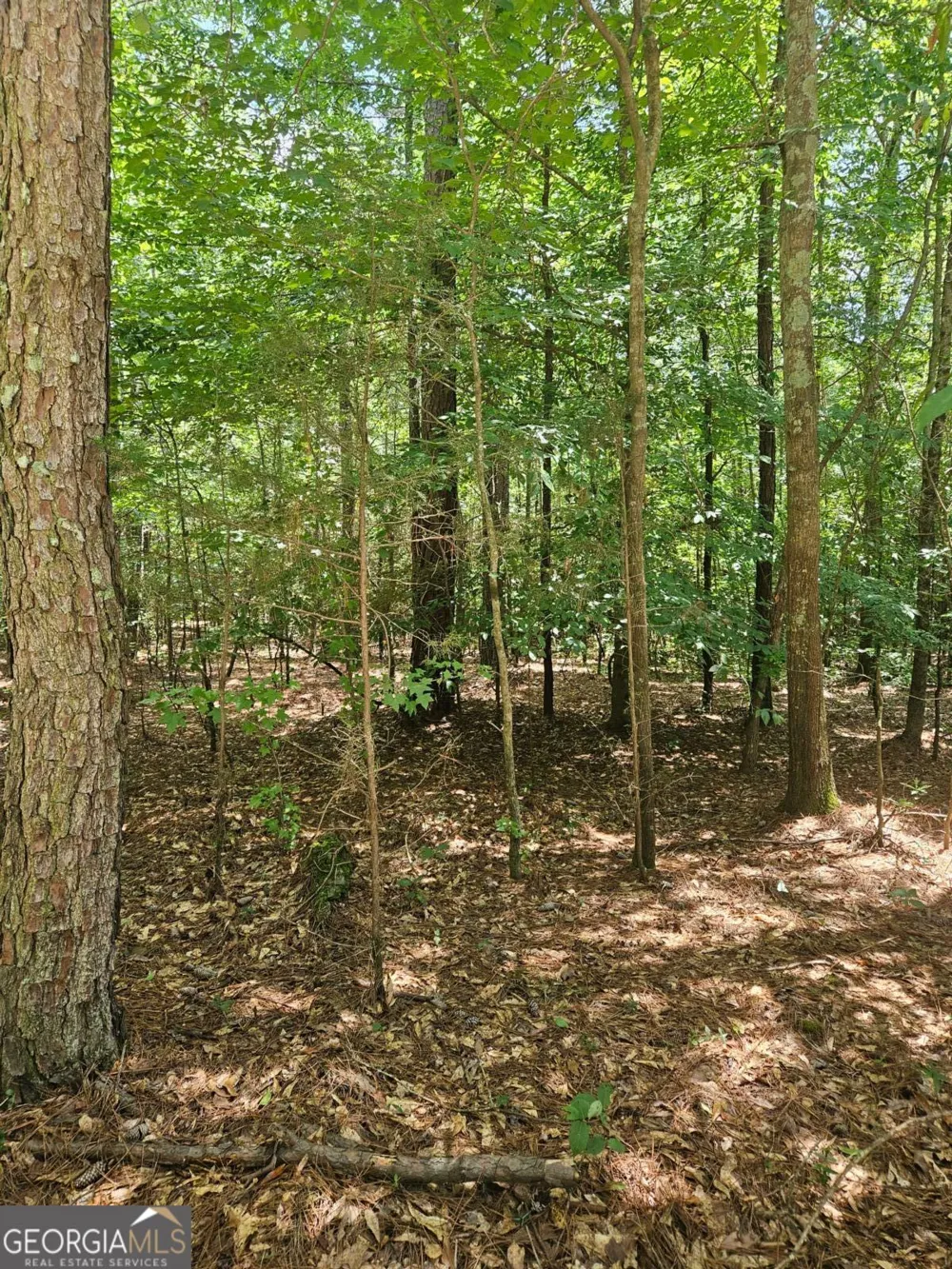 292 Mccannon Rd Tract 3 Carlton, GA 30627