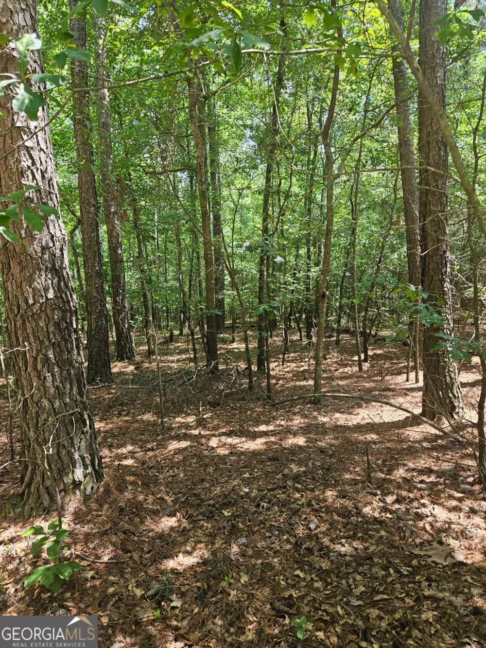 292 Mccannon Rd Tract 3 Carlton, GA 30627