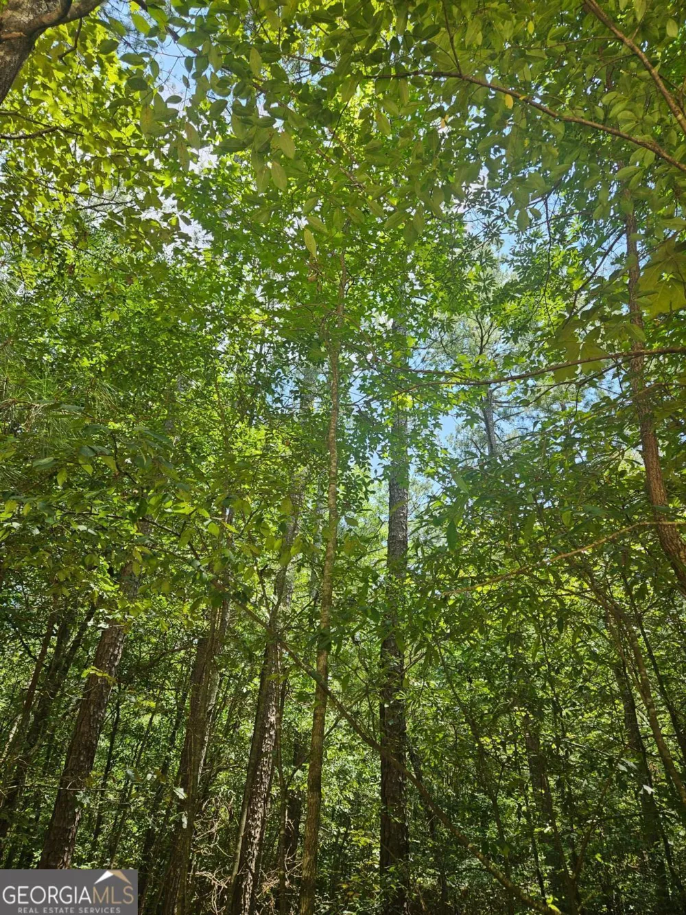 292 Mccannon Rd Tract 3 Carlton, GA 30627