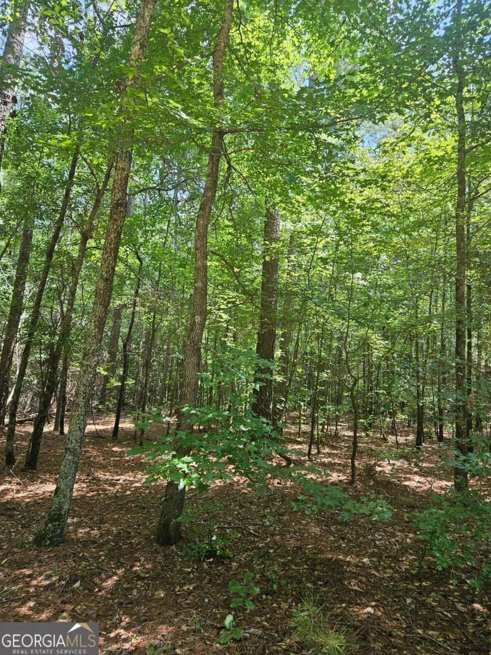 292 Mccannon Rd Tract 3 Carlton, GA 30627